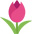 engraveSymbol